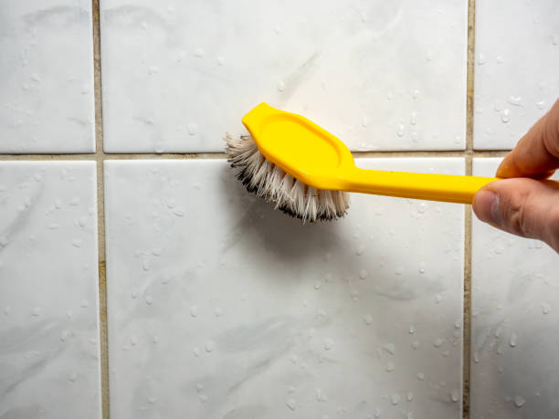 Mold Removal Process in Royal Kunia, HI