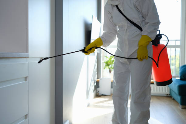 Best Commercial Mold Removal  in Royal Kunia, HI
