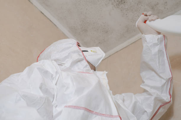 Best Attic Mold Removal  in Royal Kunia, HI